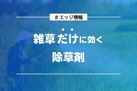 雑草だけに効く除草剤_エッジ情報