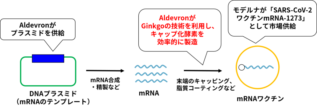 mRNAワクチンの製造工程の概要と、各社の役割分担の例
