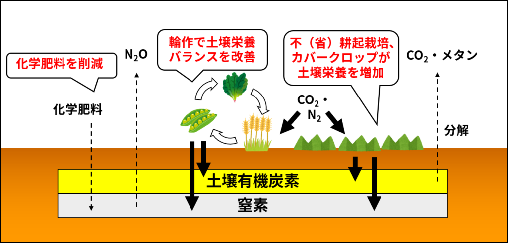 リジェネラティブ農業のアプローチの例（Regenerative Organic AllianceのHPなどを参考に作成）