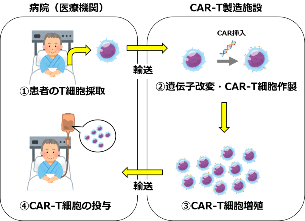 CAR-T細胞治療の流れの概要（詳細はノバルティスのHPなど参照）