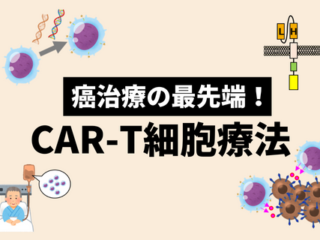 CAR-T細胞療法の最前線とは_費用の課題、企業の最先端の取り組み