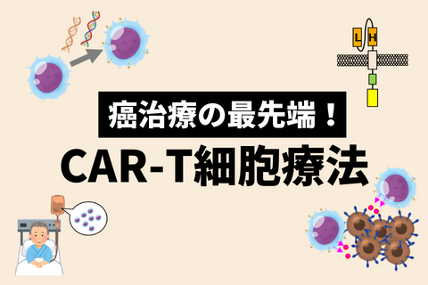 CAR-T細胞療法の最前線とは_費用の課題、企業の最先端の取り組み