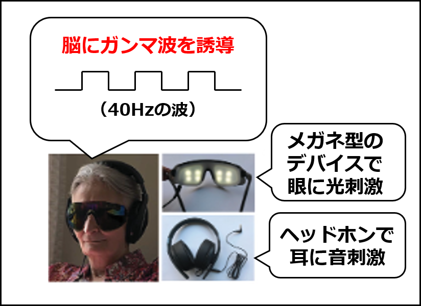 Cognitoのデバイスによる治療の概要（同社の2021年の論文の図に追記して作成）