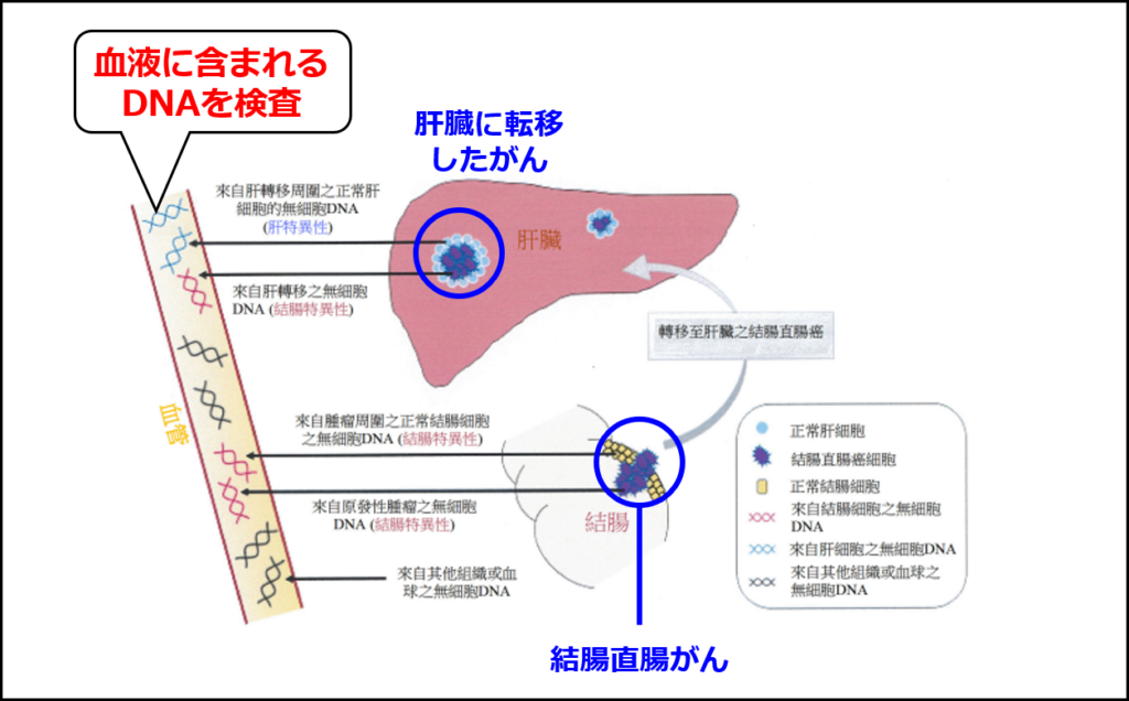 血液中のDNAから「がんの転移」を検出する技術の概要図（グレイルの出願TW202010845Aの図に追記して作成）