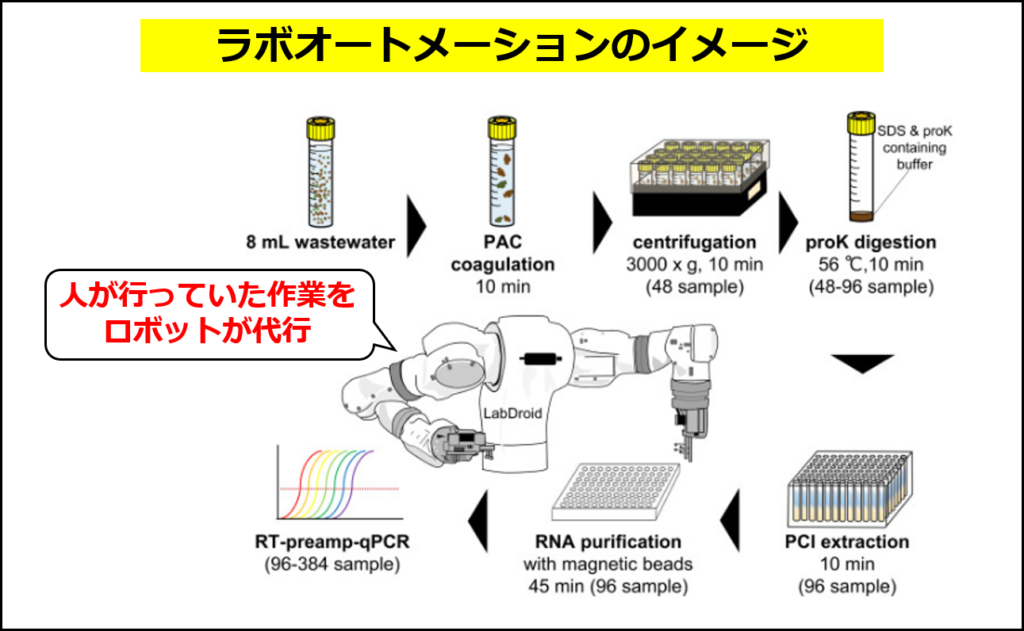 ロボットを使ったラボオートメーションのイメージ（Hayaseら, 2023の図に追記して作成）