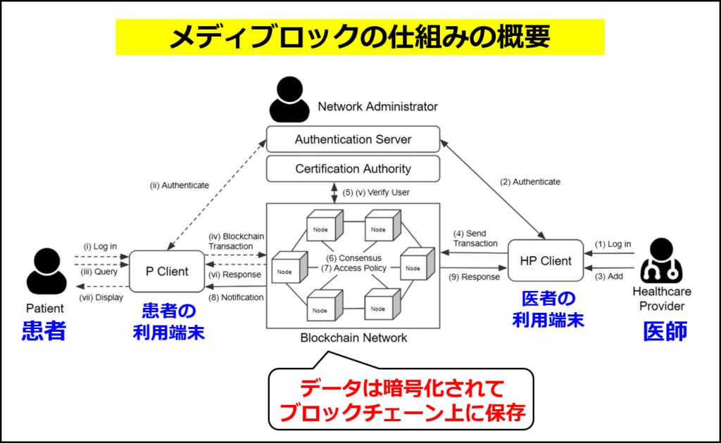 メディブロックの仕組みの概要（Huangら, 2022 の図に追記して作成）