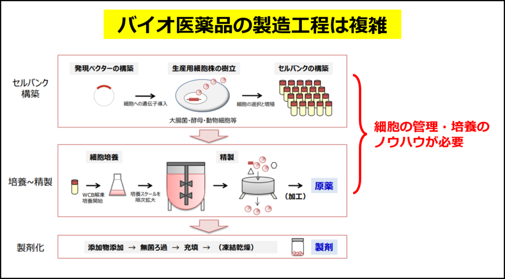 バイオ医薬品の製造工程（厚生労働省の資料に追記して作成）